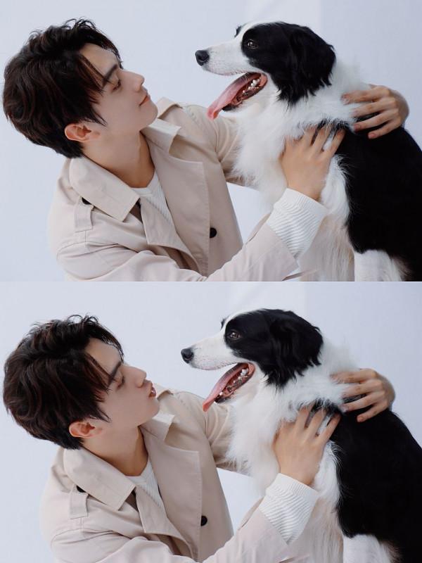 許凱穿淺色風衣氣質溫潤如玉 與小狗玩耍溫柔臉龐帥氣養眼