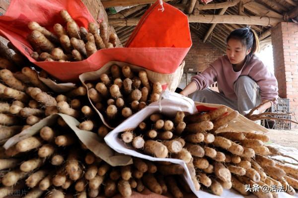 下週立冬，秋天僅剩最後10天，記得做好這3件事，排出體內垃圾