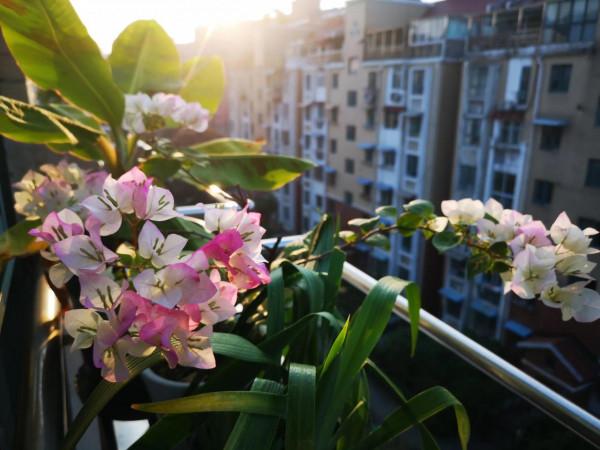 十月再見，十一月您好