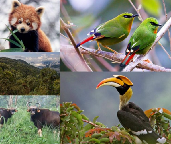 重新整理認知：關於藏南的11個冷知識