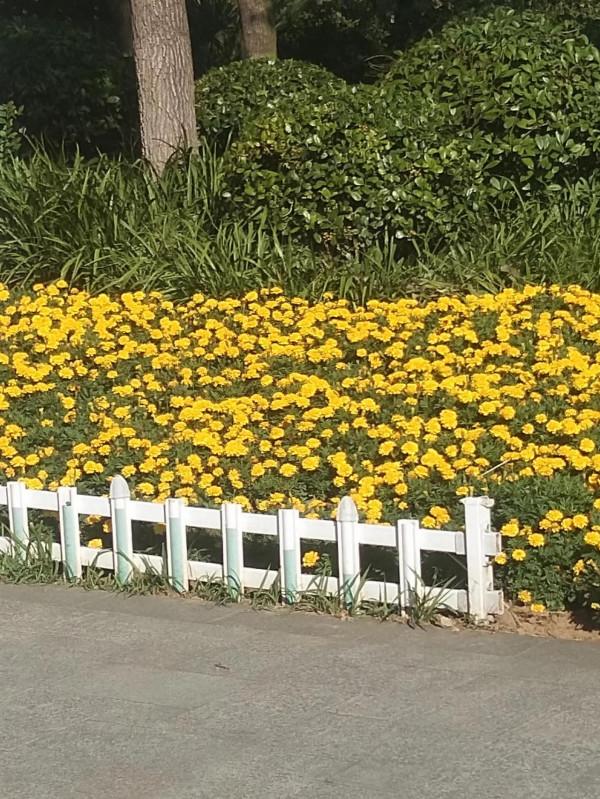 雲龍湖公園一日遊