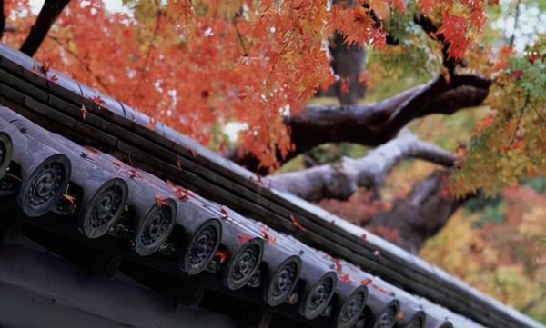 愛自己,是人生中最重要的事(值得一讀) 愛自己,是人生中最重要的事(值得一讀)