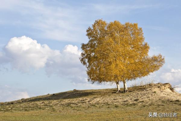 中秋佳節去哪裡,賞秋勝地,濃墨重彩的烏蘭布統秋景 中秋佳節去哪裡,賞秋勝地,濃墨重彩的烏蘭布統秋景