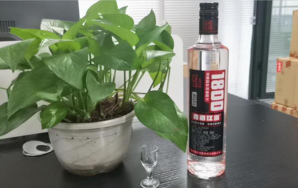 70後愛喝的3款白酒，90後雖然不愛喝，但都是好喝不貴的純糧食酒