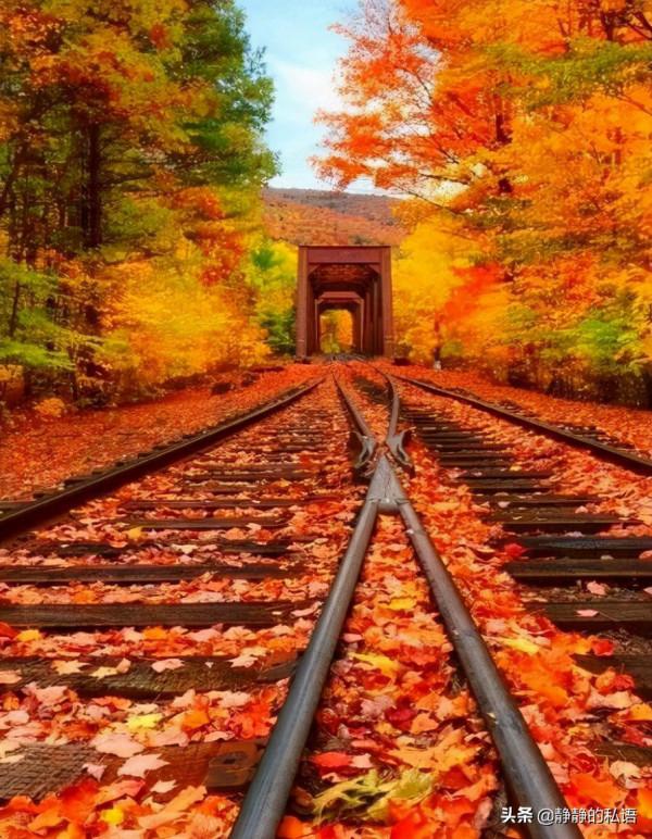 如果只是靠著相信“命中註定”會怎樣