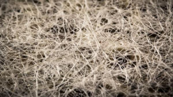 一組日常常見物品的微觀照片，微觀世界原來這麼美