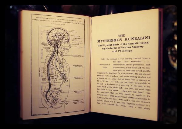 1929年瑜伽神秘昆達里尼超級稀有開啟蛇力量冥想