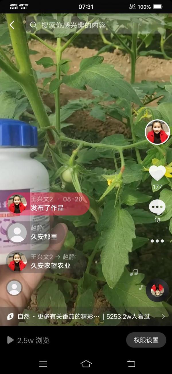 番茄萼片的盛麗美顏--西班牙自然地能量引航 番茄萼片的盛麗美顏--西班牙自然地能量引航