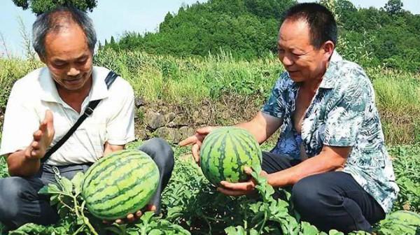 空軍副司令劉震在路途看到歹徒毆打群眾,他問:這是怎麼回事呢? 空軍副司令劉震在路途看到歹徒毆打群眾,他問:這是怎麼回事呢?
