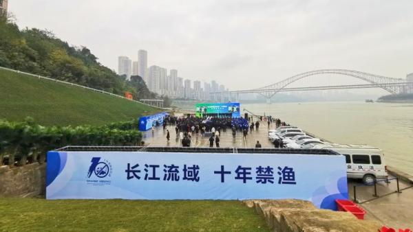 長江禁釣，資源銳減，釣魚人的自由什麼時候能實現？「路亞說」