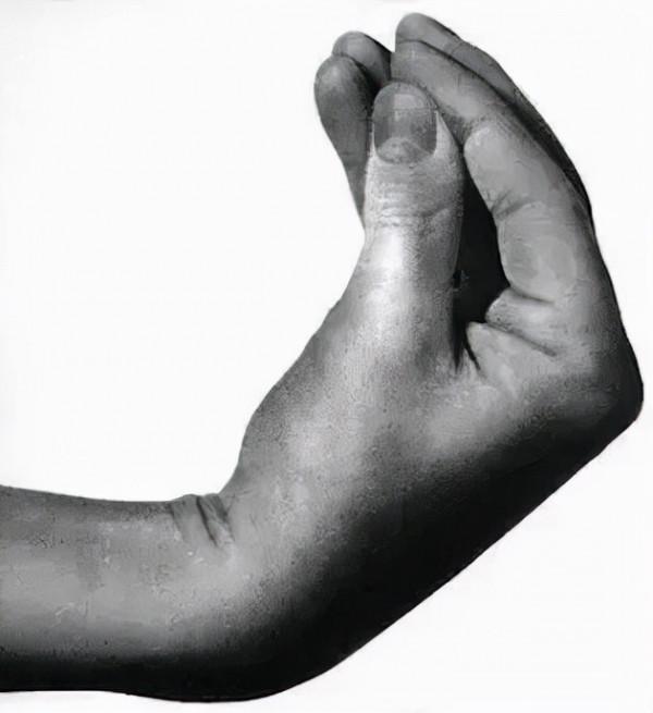 義大利人一個手勢被玩壞，網友：捆住他們的手，就說不了話了