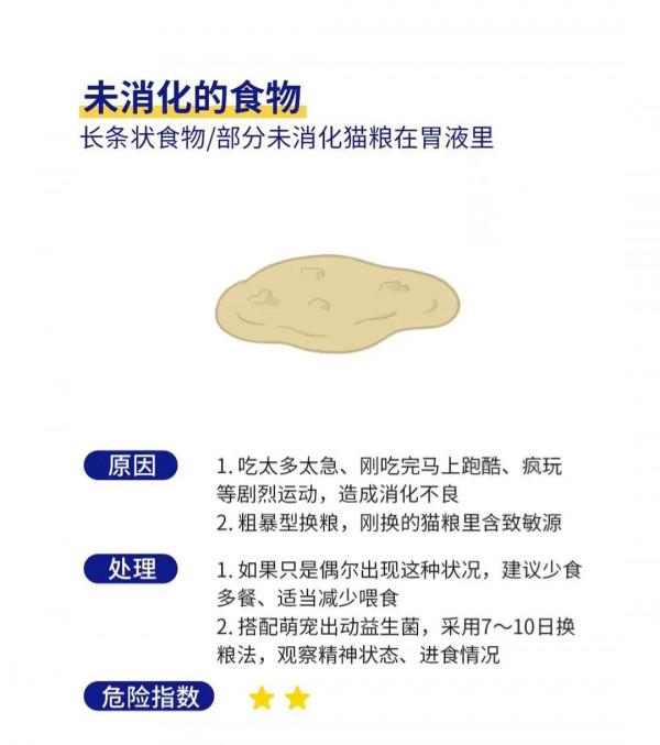 貓咪嘔吐的六種情況