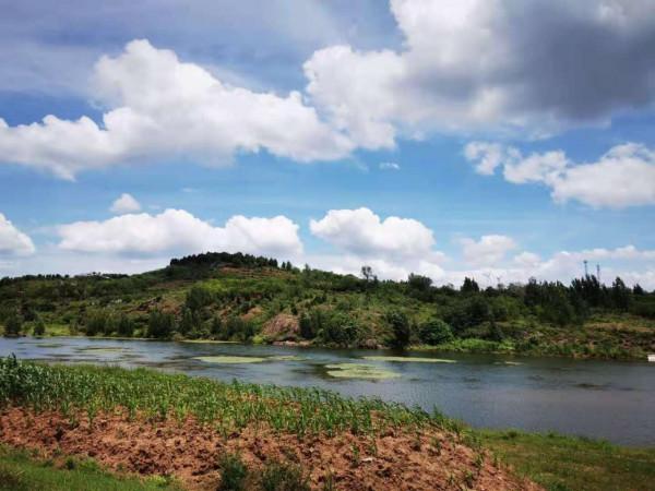 從調4釣2、調6釣4的區別，來看調釣靈鈍的實質