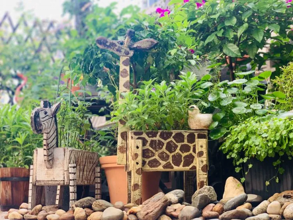 她改造的54㎡露臺花園，一個可在花叢中漫步的秘境，美不勝收