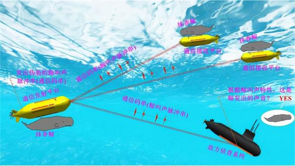 動物界的高音冠軍,叫聲整片海洋都能聽到,我國潛艇通訊模仿了它 動物界的高音冠軍,叫聲整片海洋都能聽到,我國潛艇通訊模仿了它