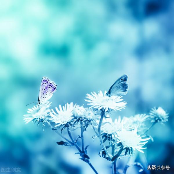 讀餘秀華的小詩《剛好》 讀餘秀華的小詩《剛好》