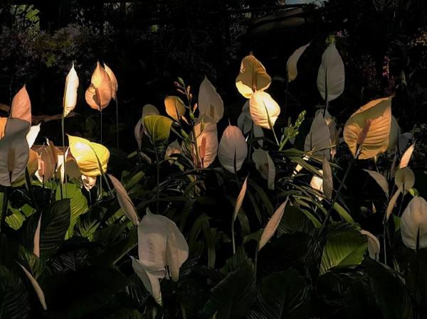 看似精明,實則單純的星座,他們撒不了謊,做不來違心的事情 看似精明,實則單純的星座,他們撒不了謊,做不來違心的事情