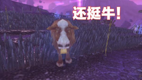 魔獸世界：CD大軍收入碾壓排骨人？可行性分析報告在此，仔細觀看