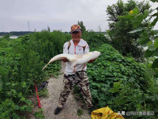 經歷這件事,我再也沒臉去那家魚塘釣魚了,也許一開始就是個錯誤 經歷這件事,我再也沒臉去那家魚塘釣魚了,也許一開始就是個錯誤