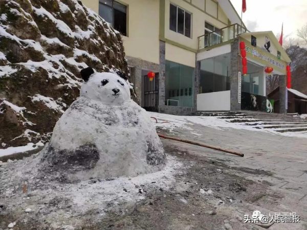 新春走基層 &vert; 他們，守護著&OpenCurlyDoubleQuote;野生&rdquo;冰墩墩