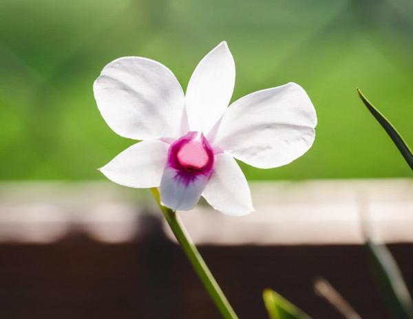 人的高階清醒：把不尊重自己的人，請出生命