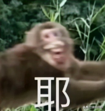 今日科技熱點:終結者成為可能?可以繁殖的活體機器人誕生 今日科技熱點:終結者成為可能?可以繁殖的活體機器人誕生