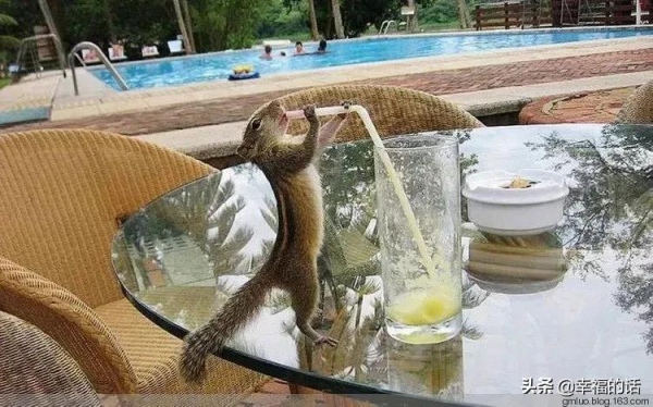 地球上的天堂美景