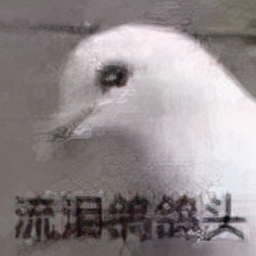 可可愛愛的表情包，快收藏喲