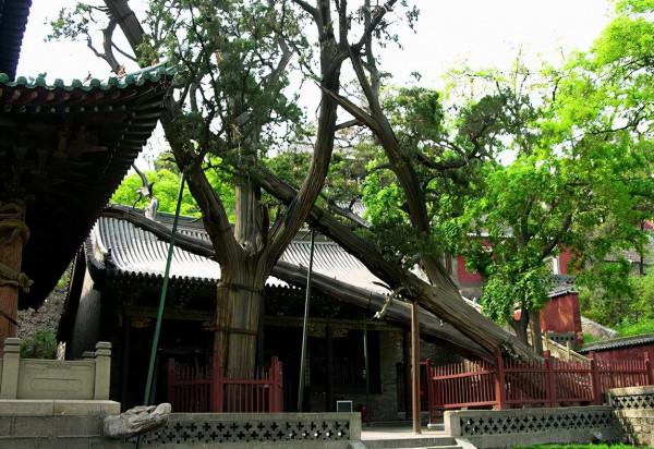 太原有個低調的4A級景區,曾是最早的皇家祭祀園林,卻鮮少人知 太原有個低調的4A級景區,曾是最早的皇家祭祀園林,卻鮮少人知