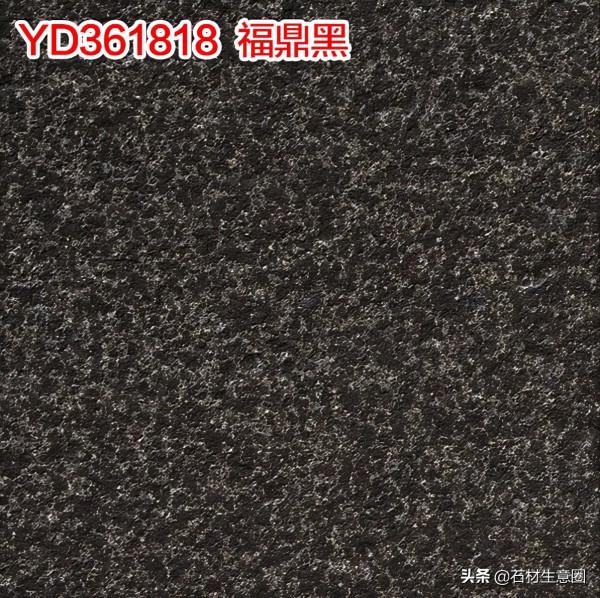 生態地鋪石欣賞