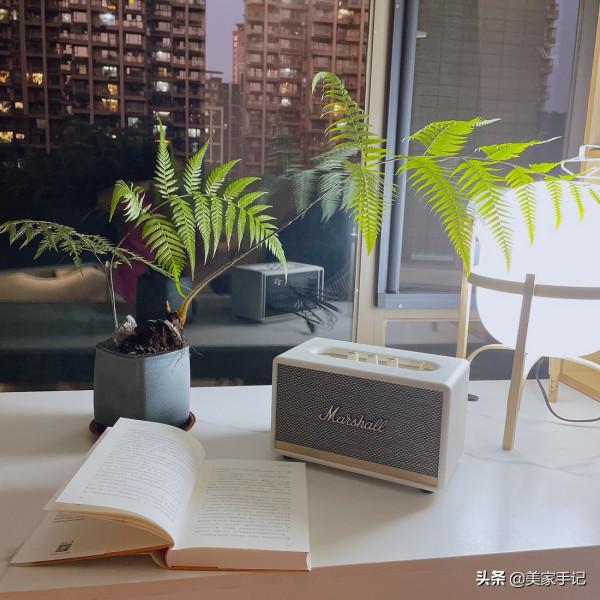 一入他家就被溫馨治癒的氛圍給迷住，全屋明亮又幹淨，太有品味了