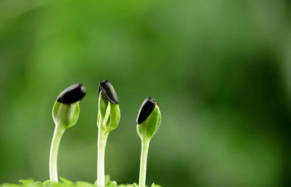 2分鐘告訴你,什麼是“順應體質”喝酒,看看你喝對了嗎? 2分鐘告訴你,什麼是“順應體質”喝酒,看看你喝對了嗎?