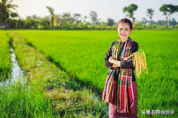 農村女怪象：“返鄉成村姑，回城變女神”，如此怪象是什麼緣故？