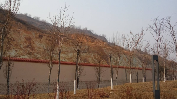 新年，很開心的一天