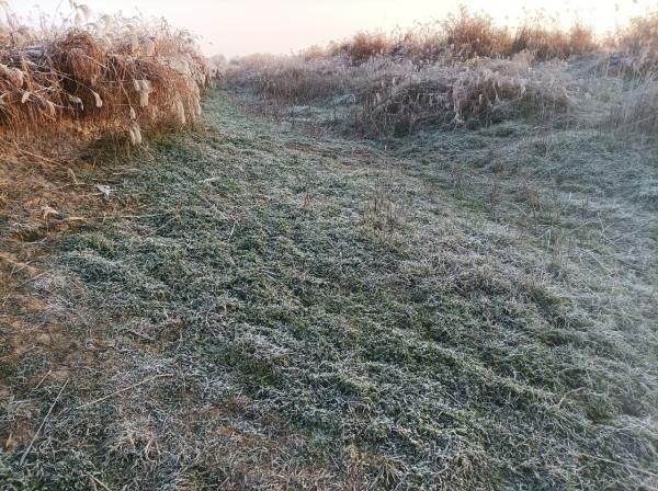 冬季魚類的致命誘惑，更換後果然立竿見影