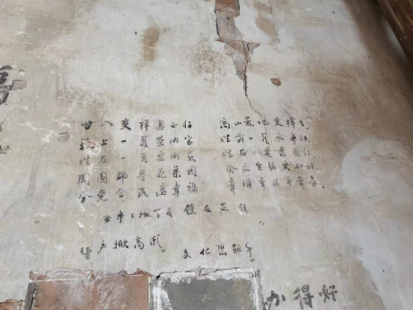 青未了｜眾裡潯她廿八都