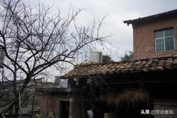 有朋自遠方來:唐DM-i車主帶唐DM-i和漢EV車主去秦車主家蹭飯 有朋自遠方來:唐DM-i車主帶唐DM-i和漢EV車主去秦車主家蹭飯