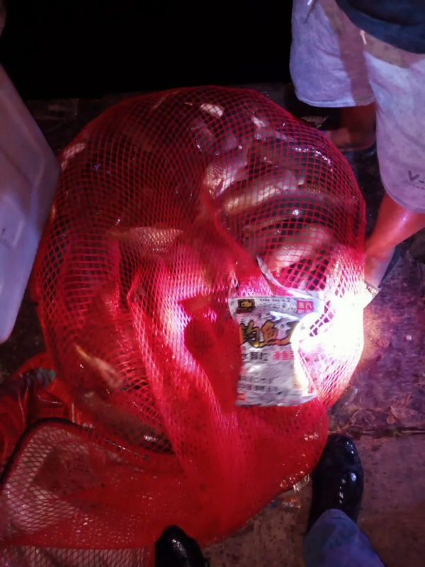 浮水顆粒——拿魚說話