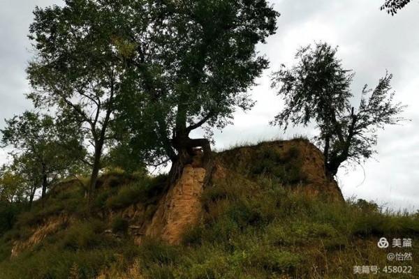 山西,讓我一次愛個夠之十五:山西結環穿+柏楊嶺堡/五眼井堡) 山西,讓我一次愛個夠之十五:山西結環穿+柏楊嶺堡/五眼井堡)