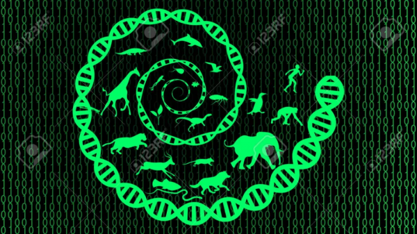 何謂“智慧”?AI與生物的根本區別在於以自我目的進行繁殖 何謂“智慧”?AI與生物的根本區別在於以自我目的進行繁殖