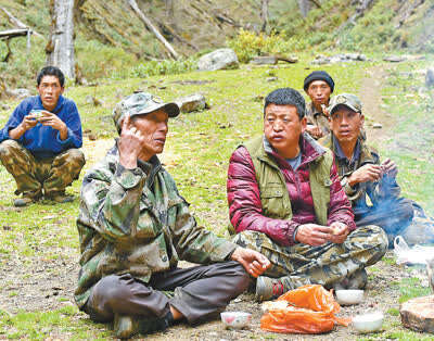 鍾泰：38年，守護滇金絲猴