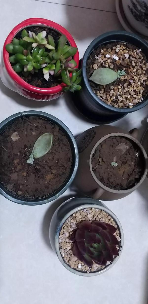 8小時以後的時光 8小時以後的時光