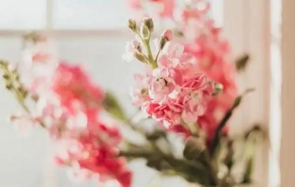 你的認知選擇決定你的行動選擇