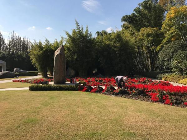 感謝先輩們披荊斬棘，讓後輩享受這繁華盛世