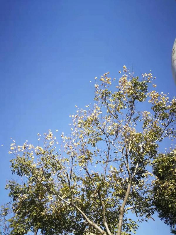 來不及好好愛你之 戶口本配偶欄