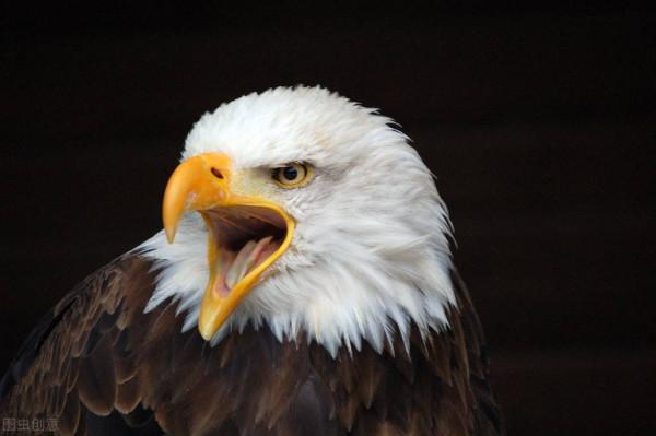 不能接受!美國對大疆公司下手,背後原因直指南海局勢? 不能接受!美國對大疆公司下手,背後原因直指南海局勢?