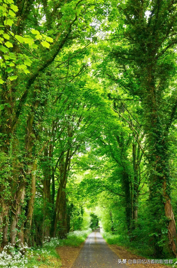 失眠的原因找到了