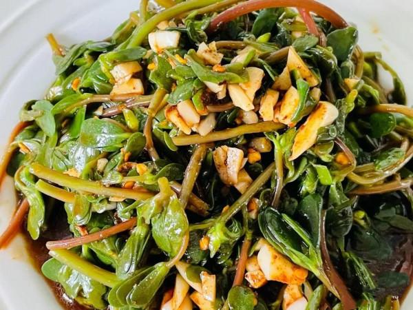 春天挖野菜，這些解膩清油的小嫩苗千萬別錯過