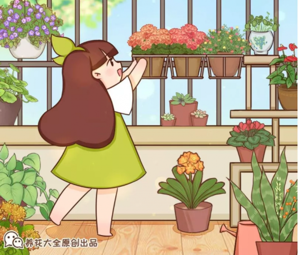 10種花,小盆“擠著養”,不爛根,植株旺,花苞突突冒 10種花,小盆“擠著養”,不爛根,植株旺,花苞突突冒