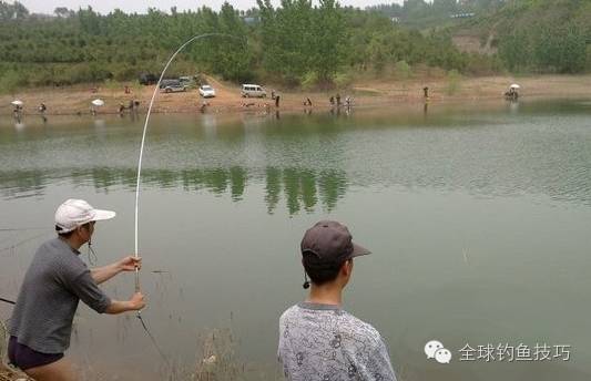 氣溫導致魚情變化的三招垂釣經驗分享